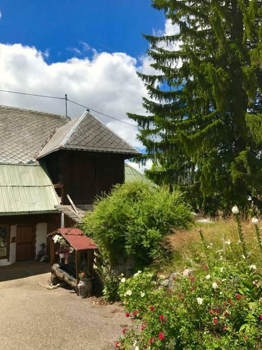 Apartament Echtes Schwarzwaldhaus - Traditionell & Modern Bernau im Schwarzwald Zewnętrze zdjęcie