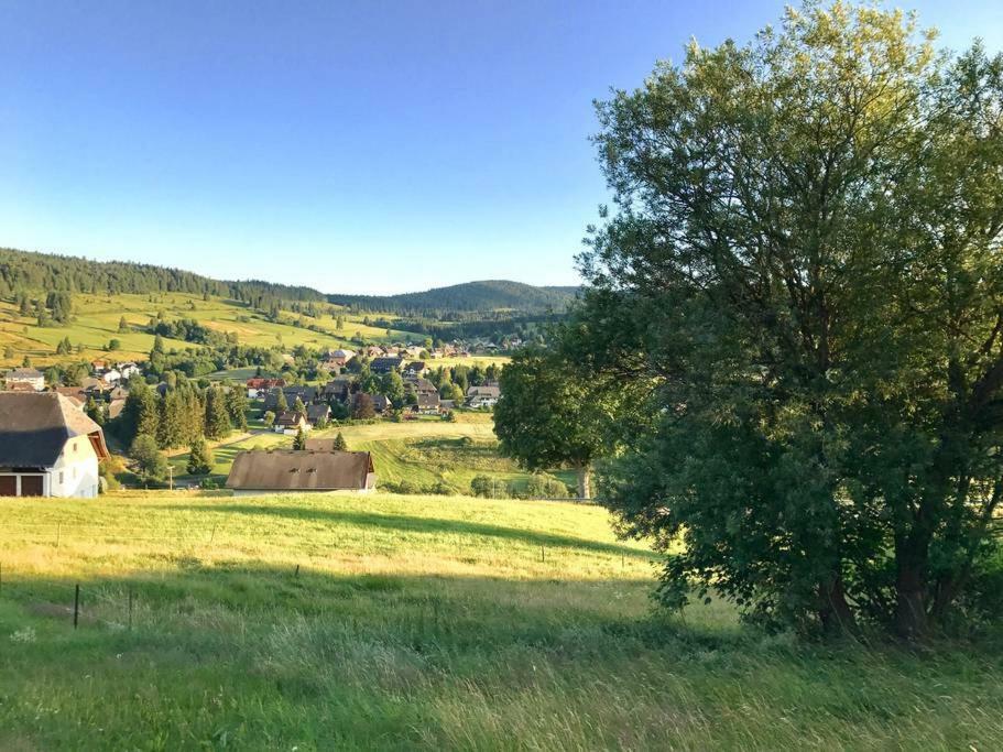 Apartament Echtes Schwarzwaldhaus - Traditionell & Modern Bernau im Schwarzwald Zewnętrze zdjęcie